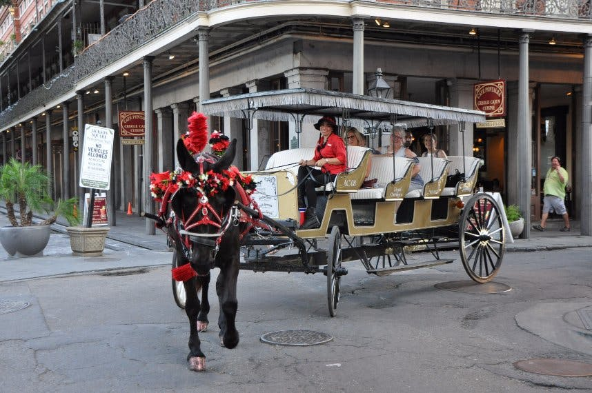 French Quarter by Mule Drawn Carriage: 60-Minute Tour - Photo 1 of 6
